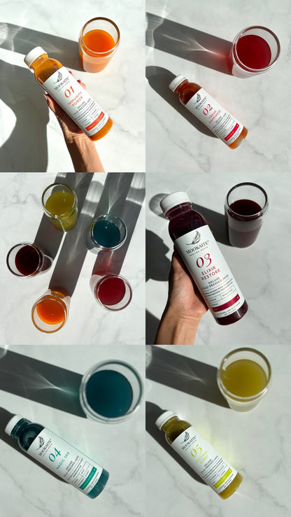 Holistic Detox Juice Program